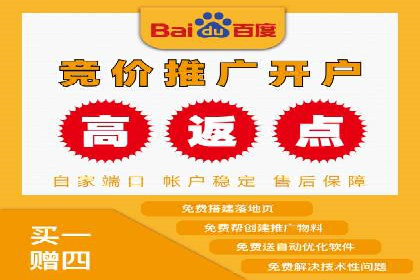 某品牌SEM广告投放的优化过程与效果